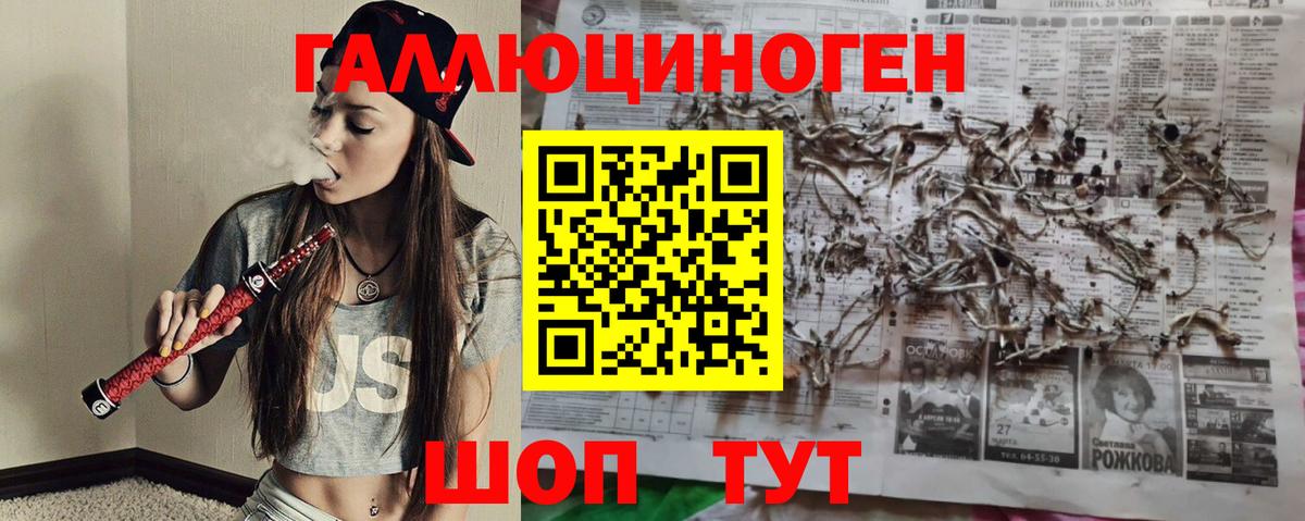 Шатура  сколько стоит  Вход с VPN  Галлюциногенные грибы Cubensis 